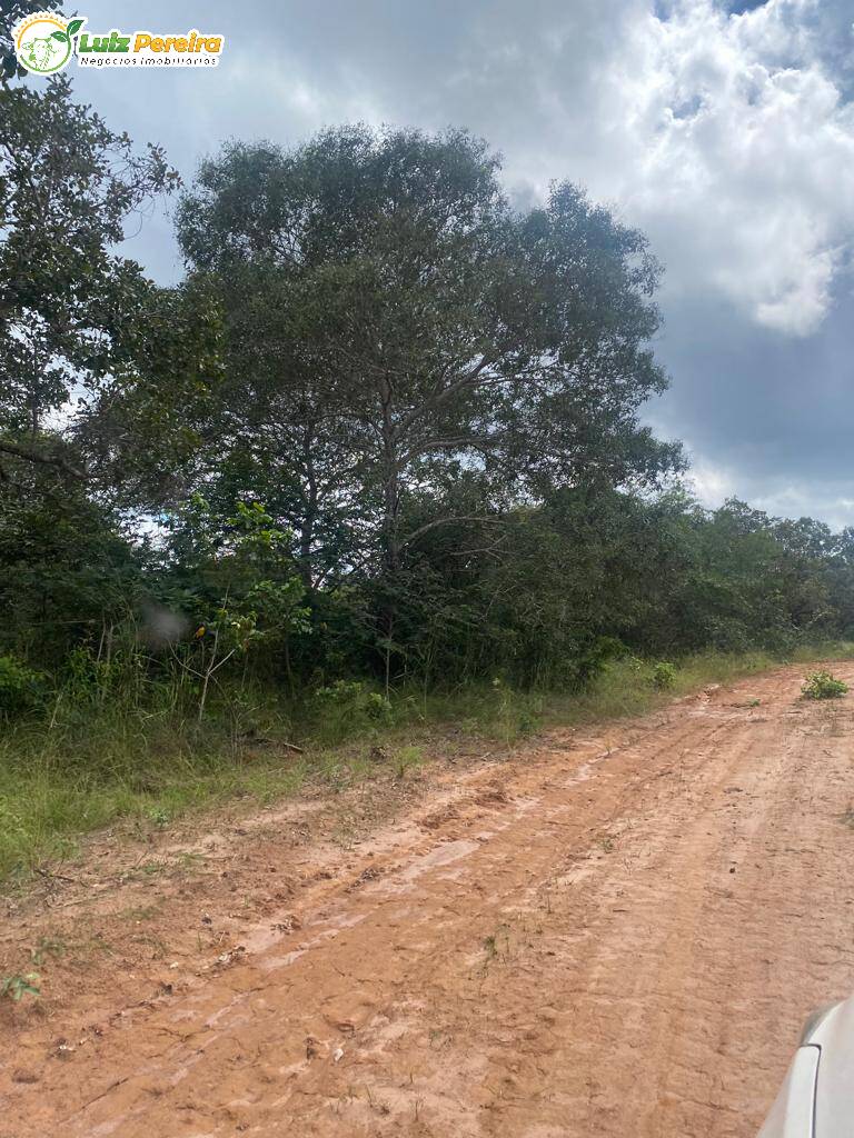 Fazenda à venda, 21200000m² - Foto 6