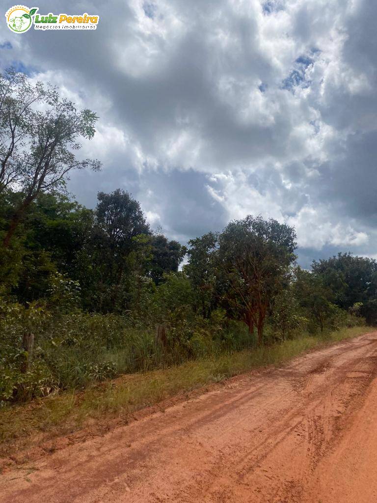 Fazenda à venda, 21200000m² - Foto 8