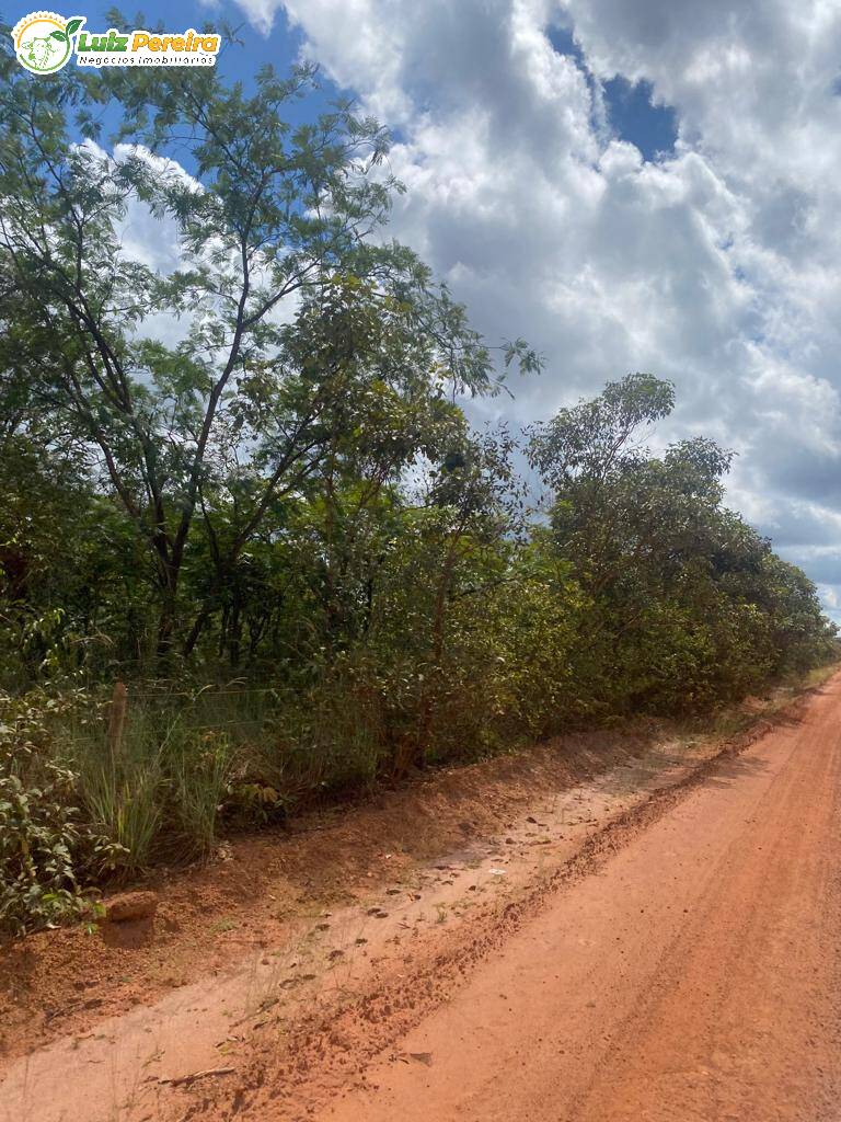 Fazenda à venda, 21200000m² - Foto 12