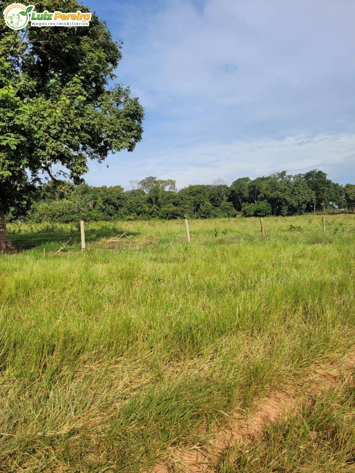 Fazenda à venda, 1200000m² - Foto 5