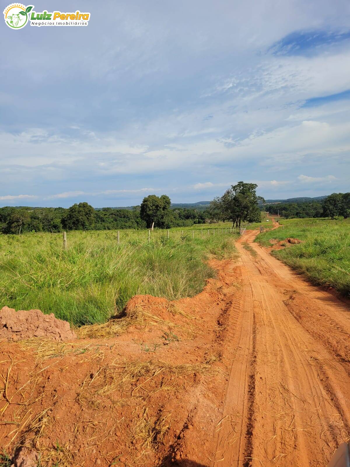 Fazenda à venda, 1200000m² - Foto 11