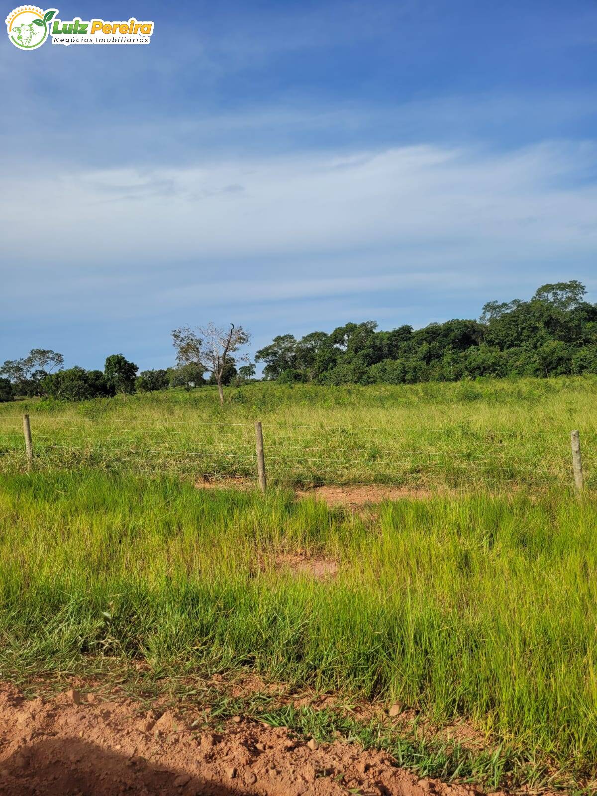 Fazenda à venda, 1200000m² - Foto 6