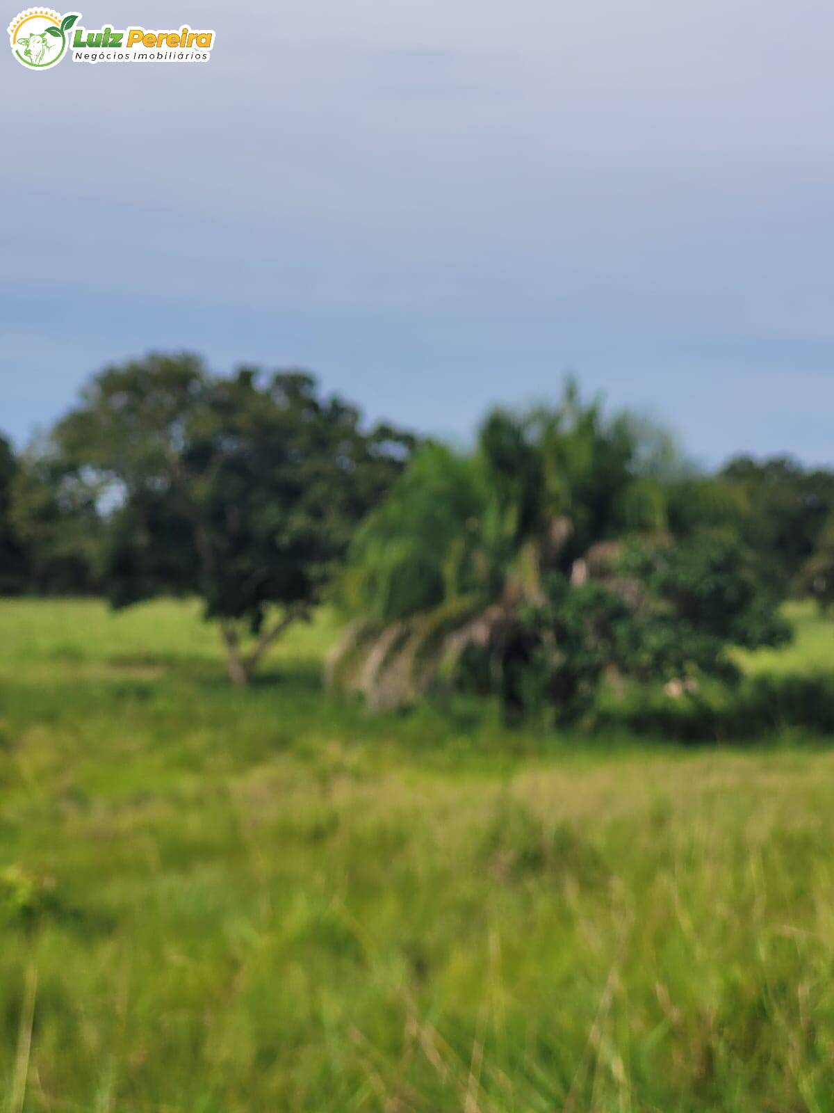 Fazenda à venda, 1200000m² - Foto 8