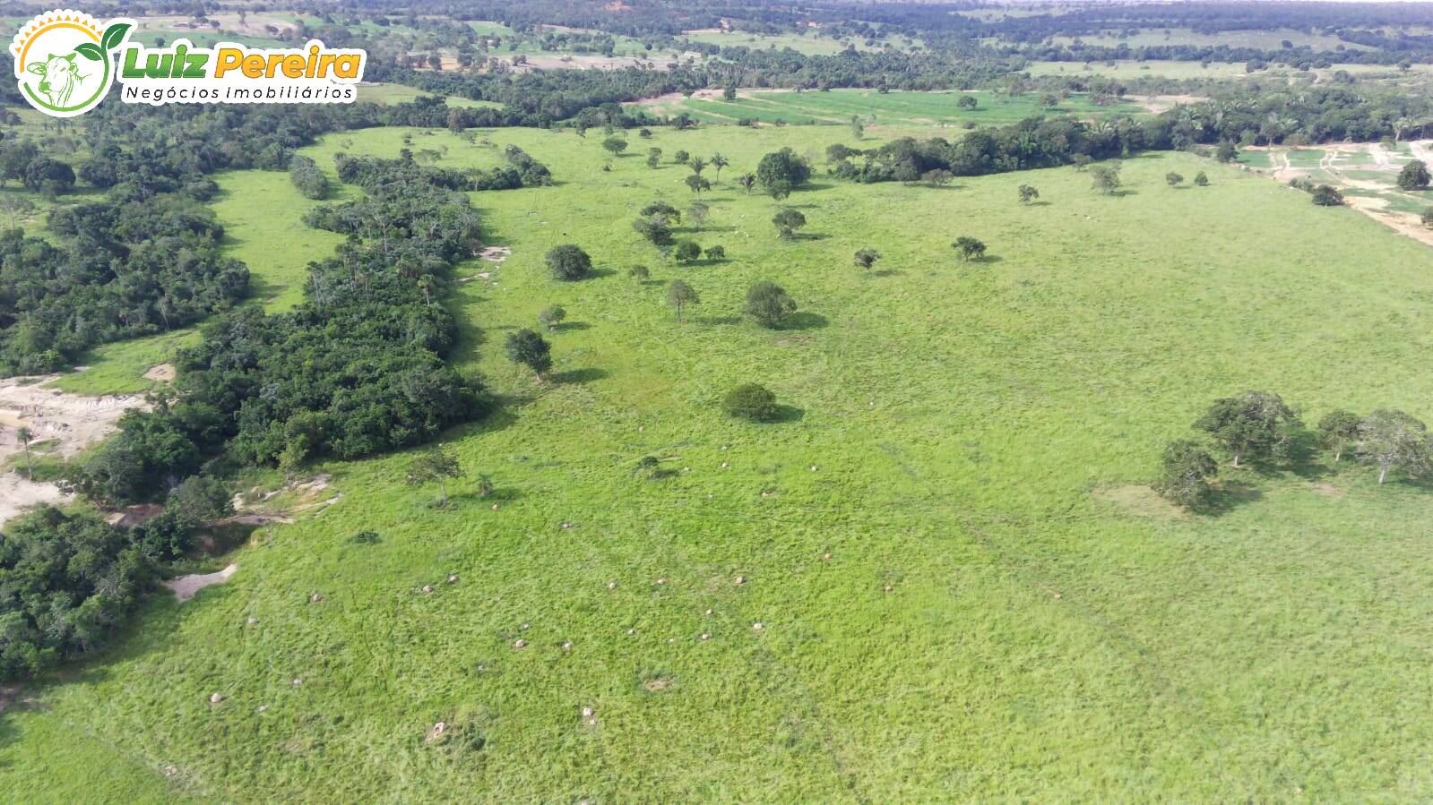 Fazenda-Sítio-Chácara, 120 hectares - Foto 2