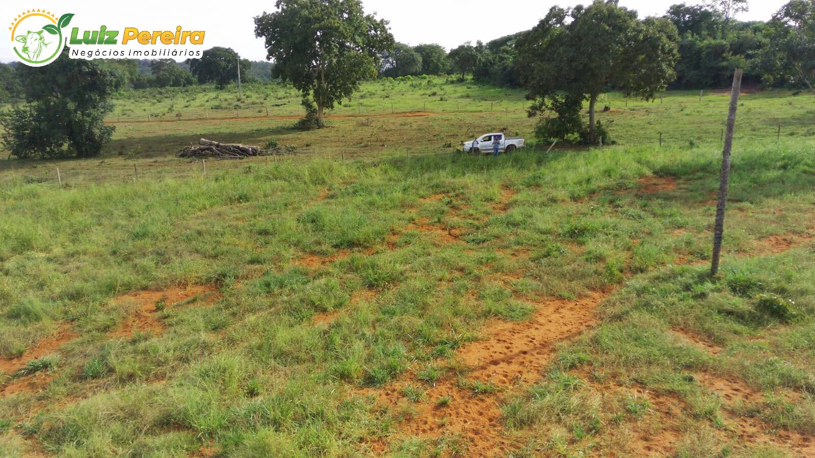 Fazenda à venda, 1200000m² - Foto 12