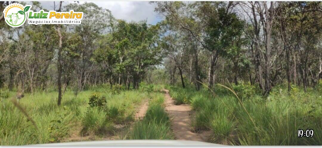 Fazenda à venda, 50000000m² - Foto 8