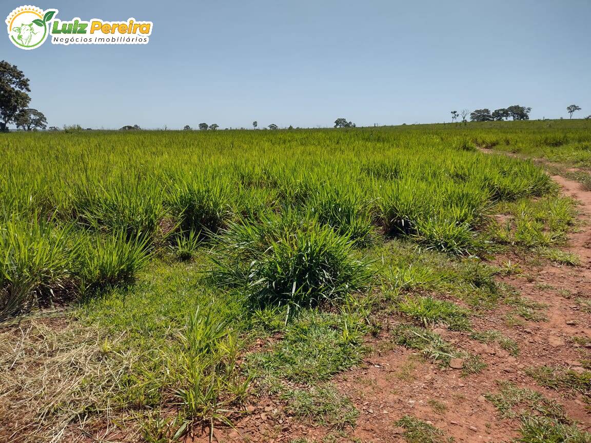 Fazenda à venda, 6700000m² - Foto 7