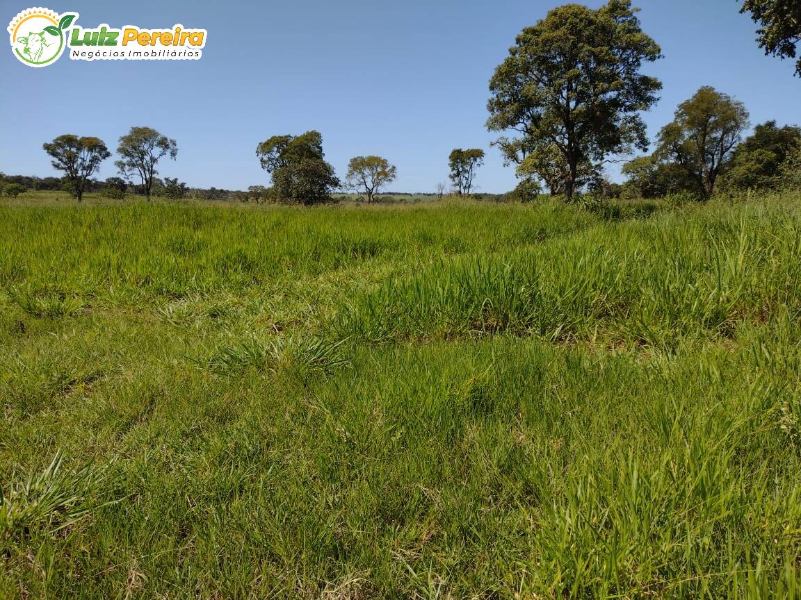 Fazenda à venda, 6700000m² - Foto 6