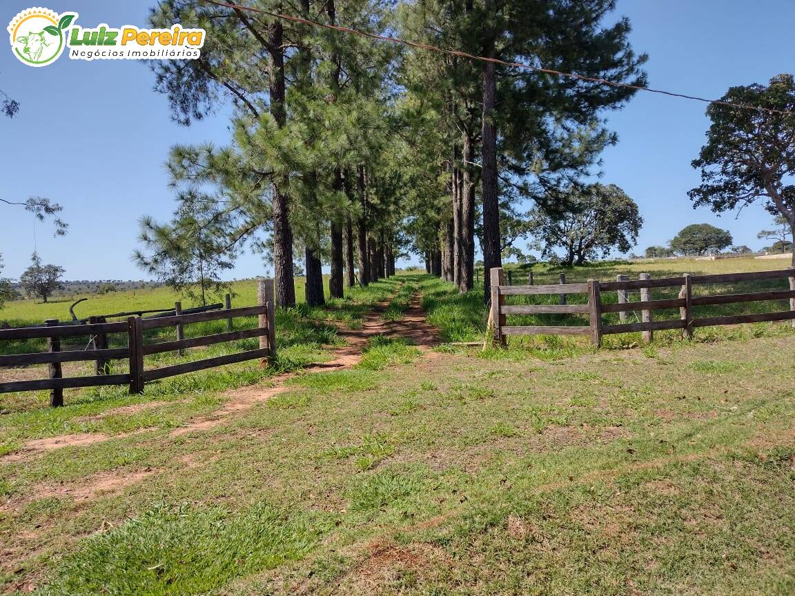 Fazenda à venda, 6700000m² - Foto 8