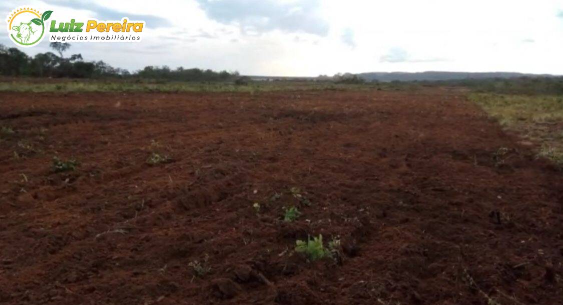 Fazenda à venda, 29500000m² - Foto 8