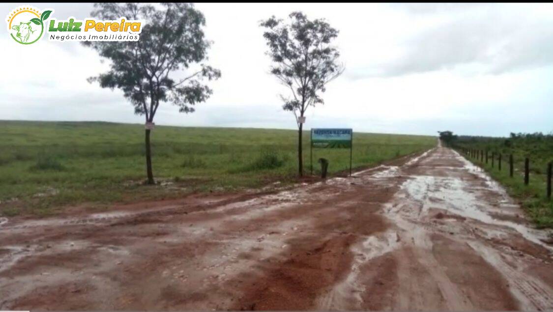 Fazenda à venda, 29500000m² - Foto 10