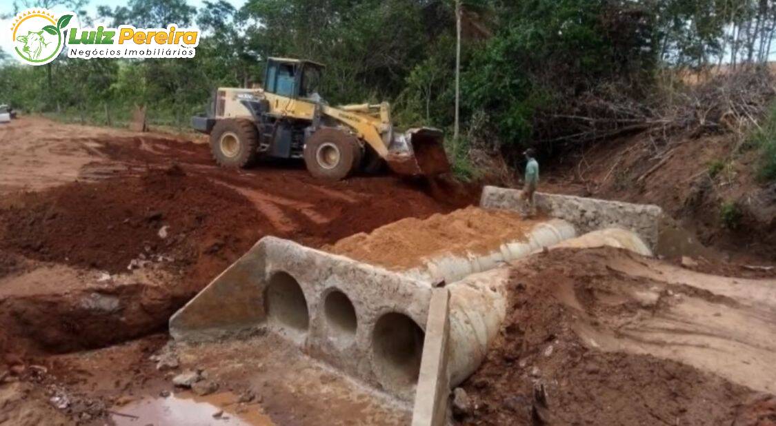 Fazenda à venda, 29500000m² - Foto 14