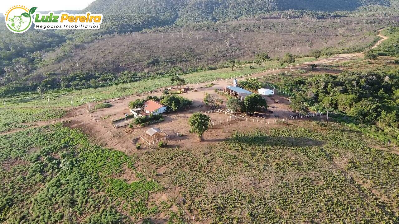 Fazenda-Sítio-Chácara, 1702 hectares - Foto 1