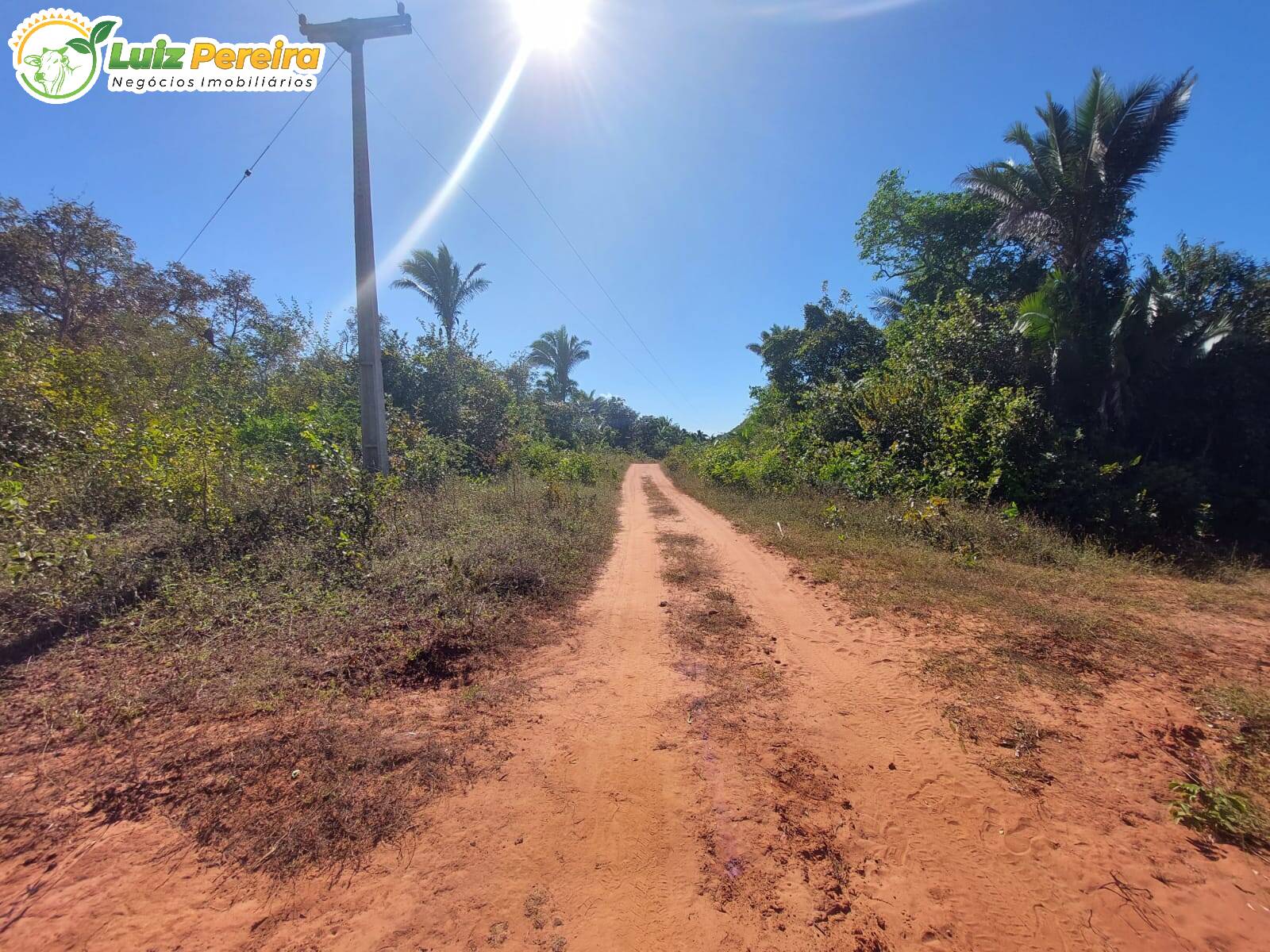 Fazenda à venda, 17020000m² - Foto 5