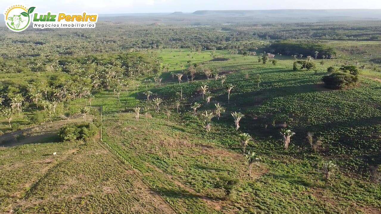 Fazenda-Sítio-Chácara, 1702 hectares - Foto 4