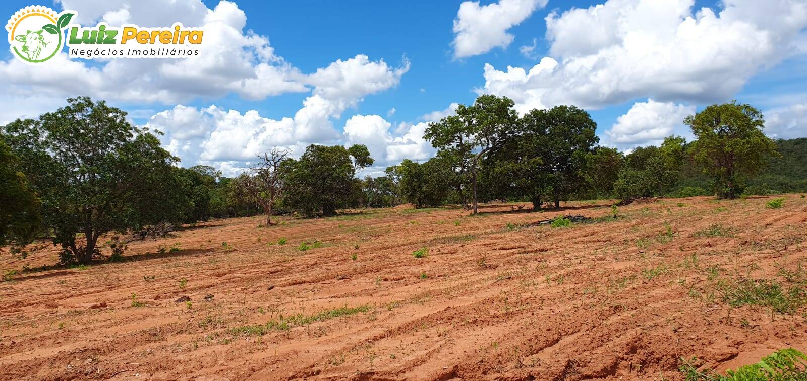 Fazenda à venda, 9570000m² - Foto 23