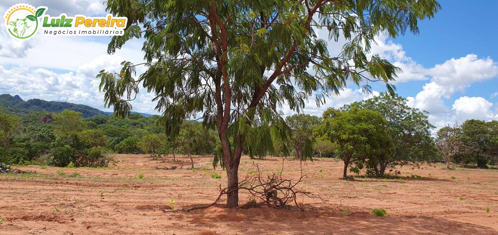 Fazenda à venda, 9570000m² - Foto 19