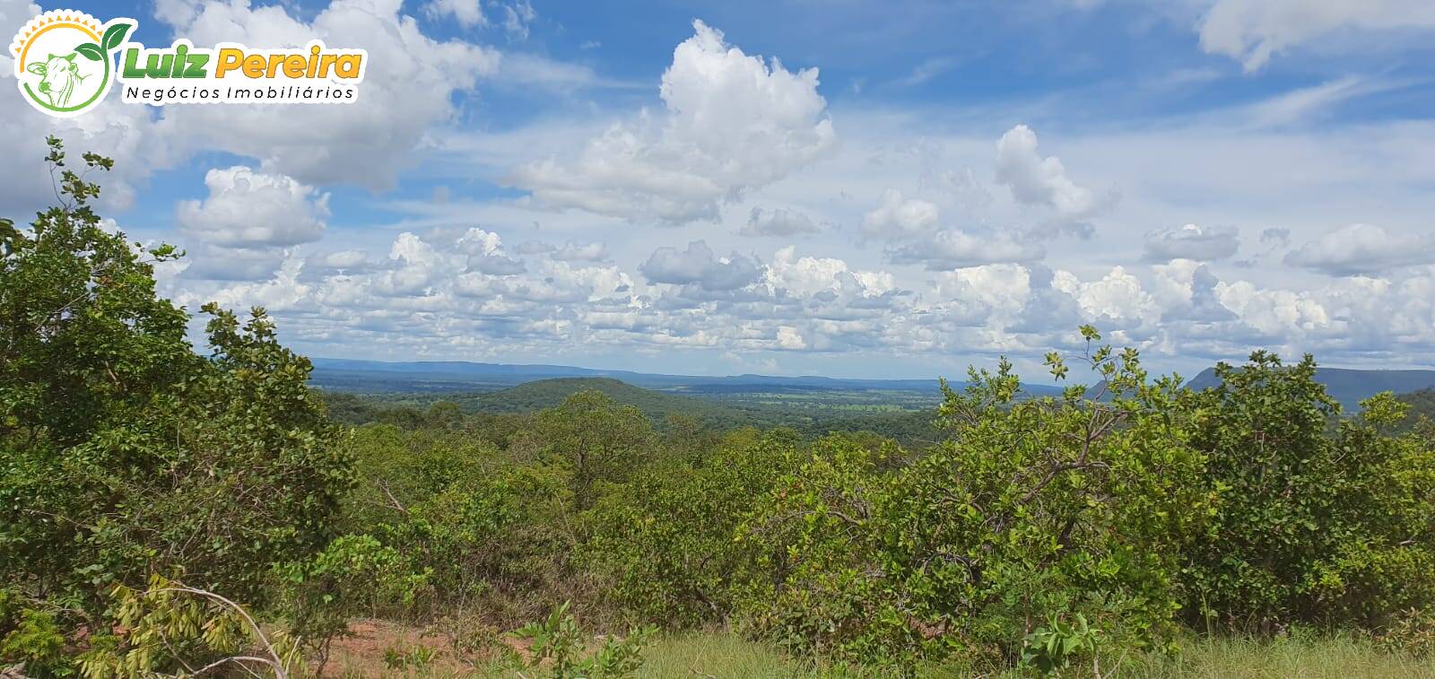 Fazenda à venda, 9570000m² - Foto 9