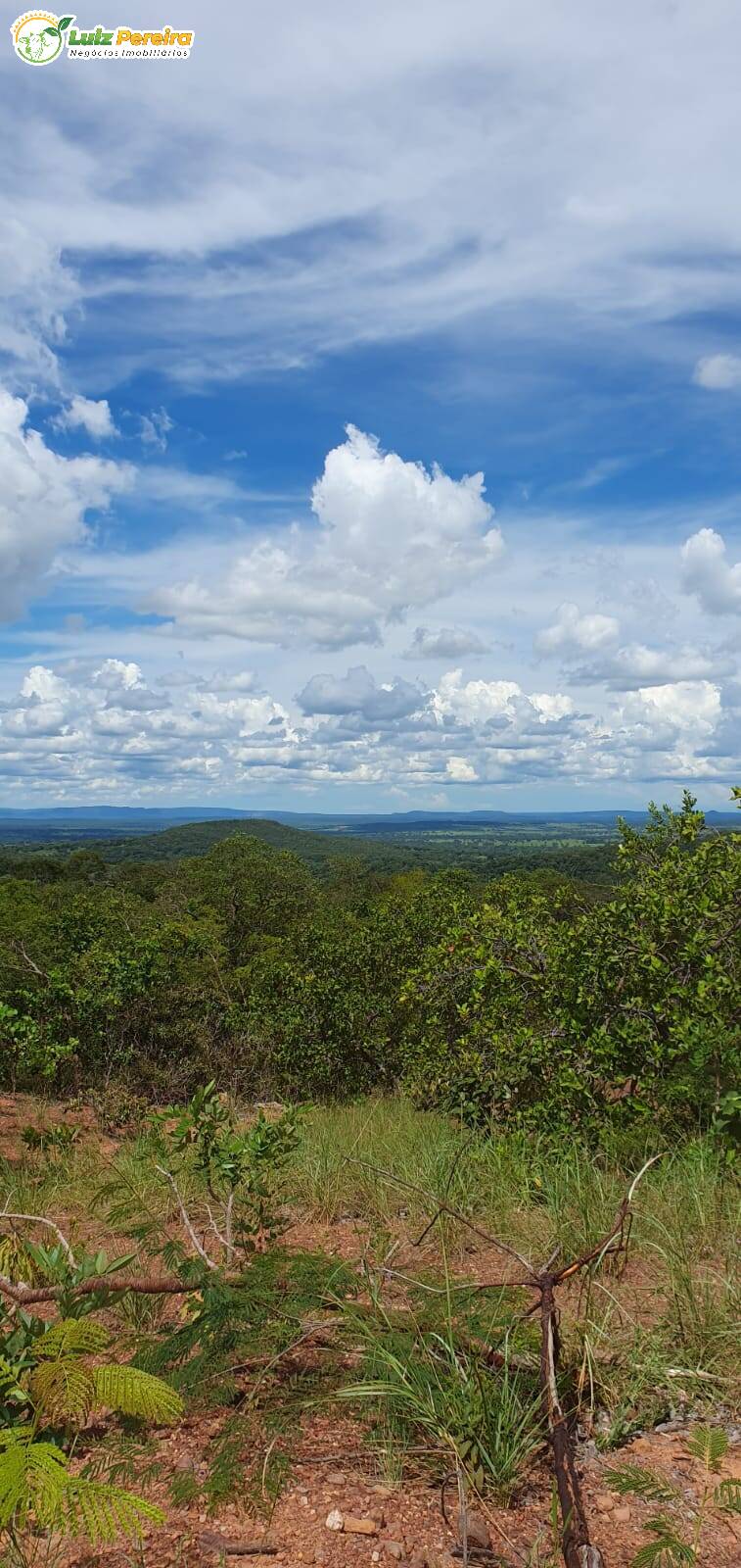 Fazenda à venda, 9570000m² - Foto 11