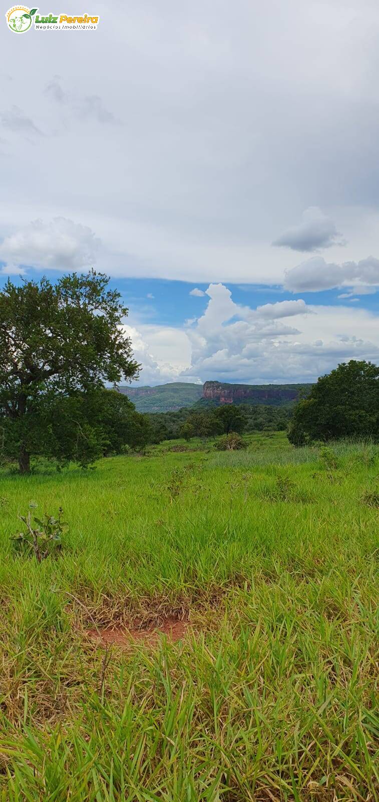 Fazenda à venda, 9570000m² - Foto 14