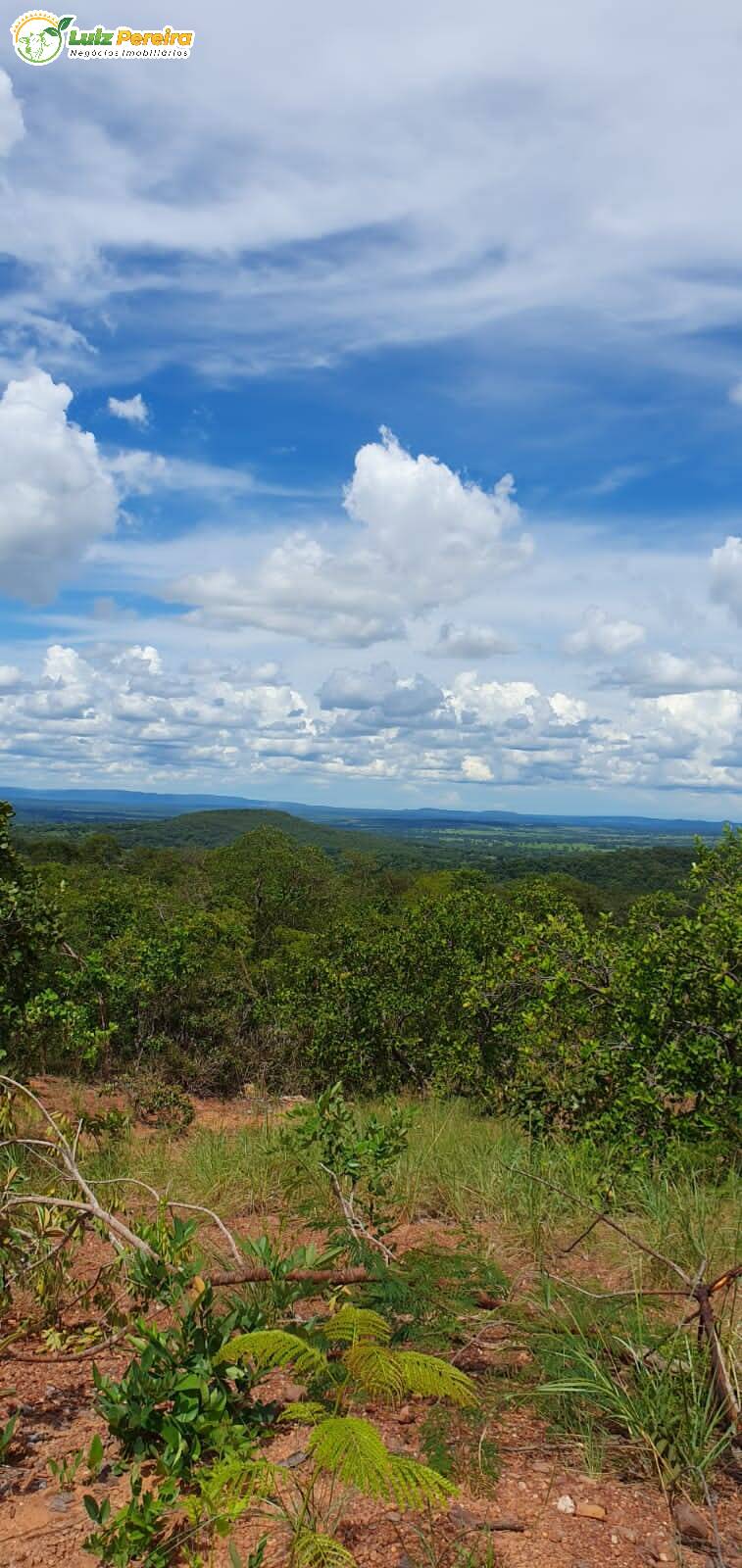 Fazenda à venda, 9570000m² - Foto 10