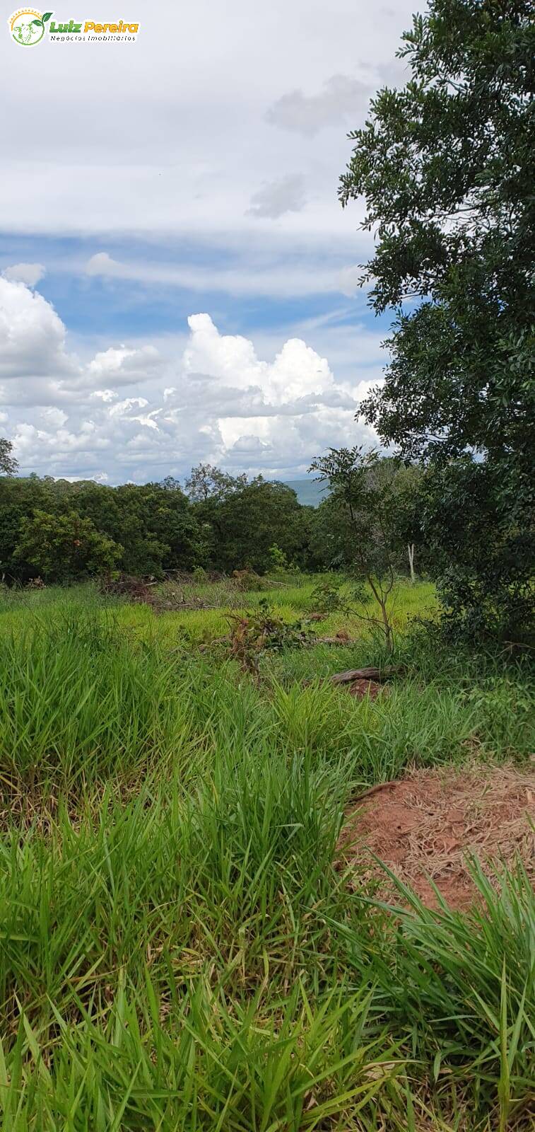 Fazenda à venda, 9570000m² - Foto 13