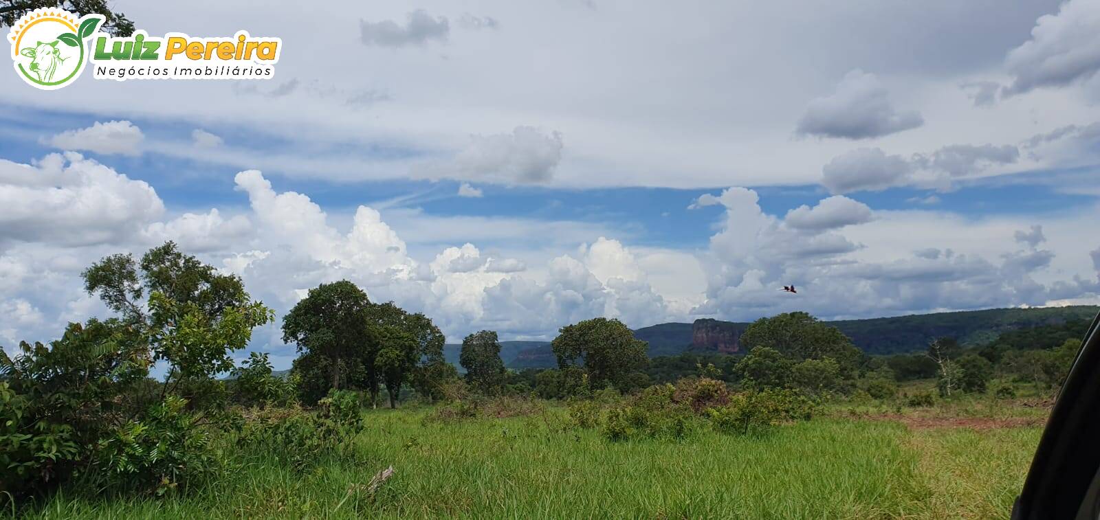 Fazenda à venda, 9570000m² - Foto 15