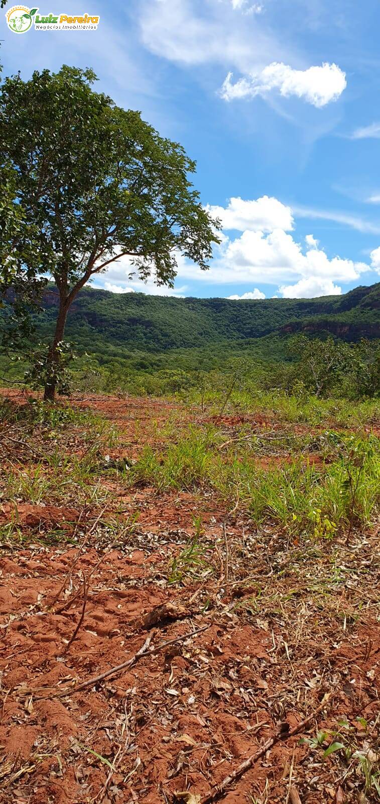 Fazenda à venda, 9570000m² - Foto 16