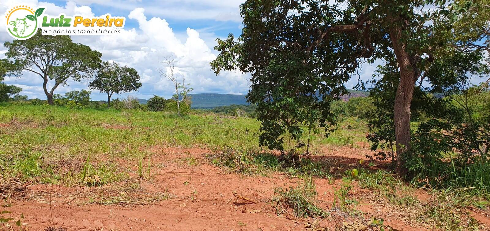 Fazenda à venda, 9570000m² - Foto 17