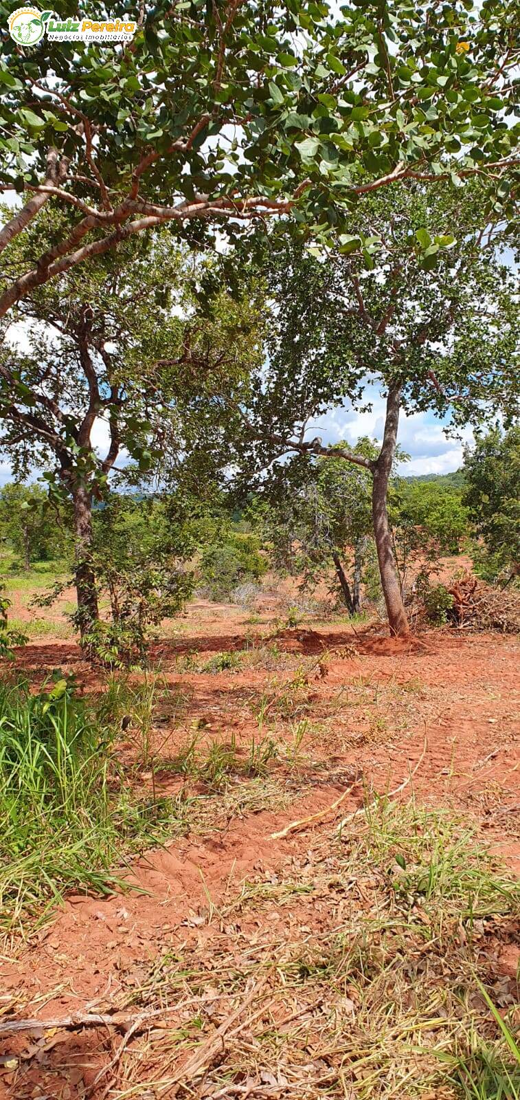 Fazenda à venda, 9570000m² - Foto 18