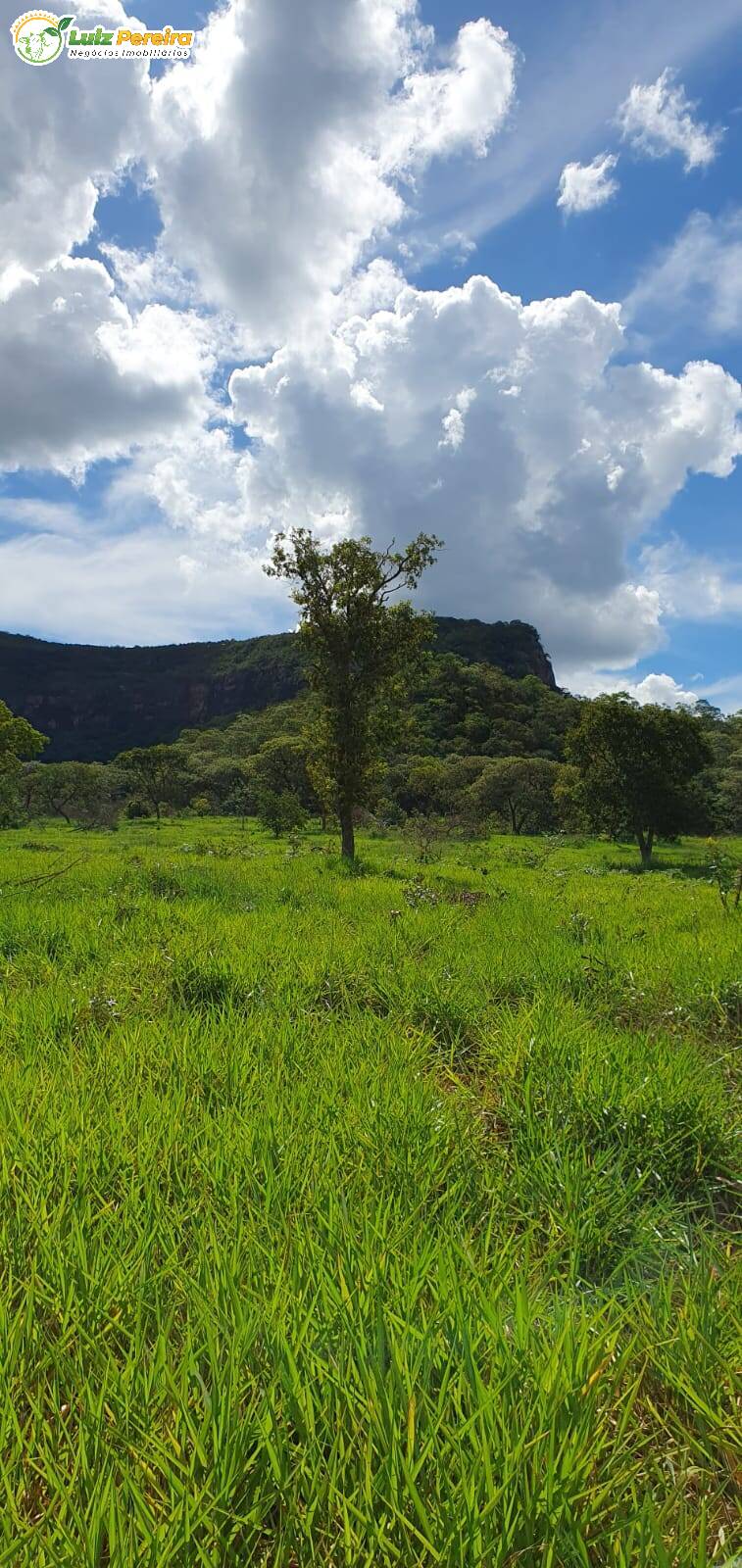 Fazenda à venda, 9570000m² - Foto 8