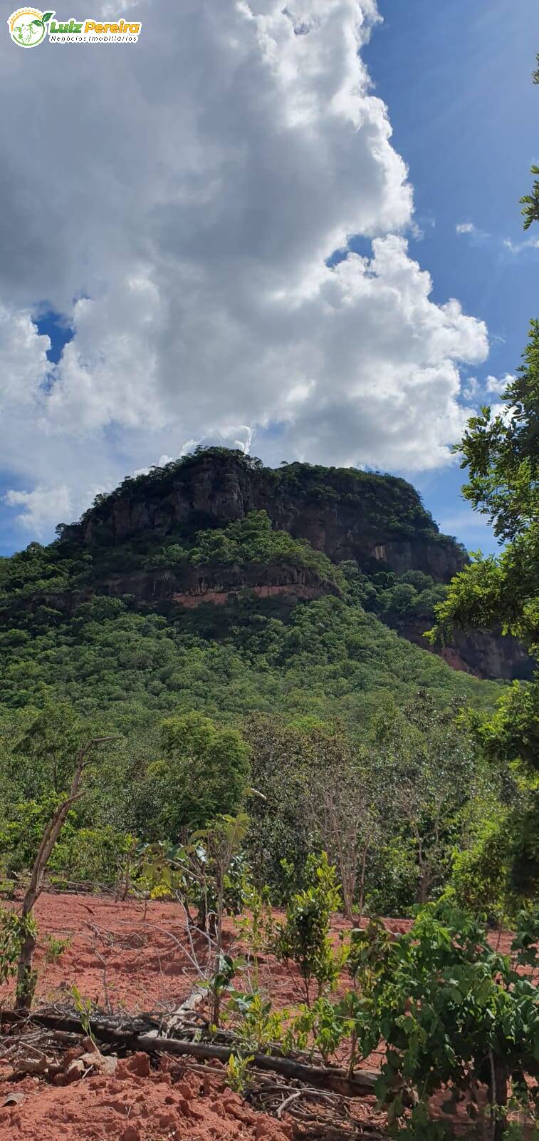 Fazenda à venda, 9570000m² - Foto 30