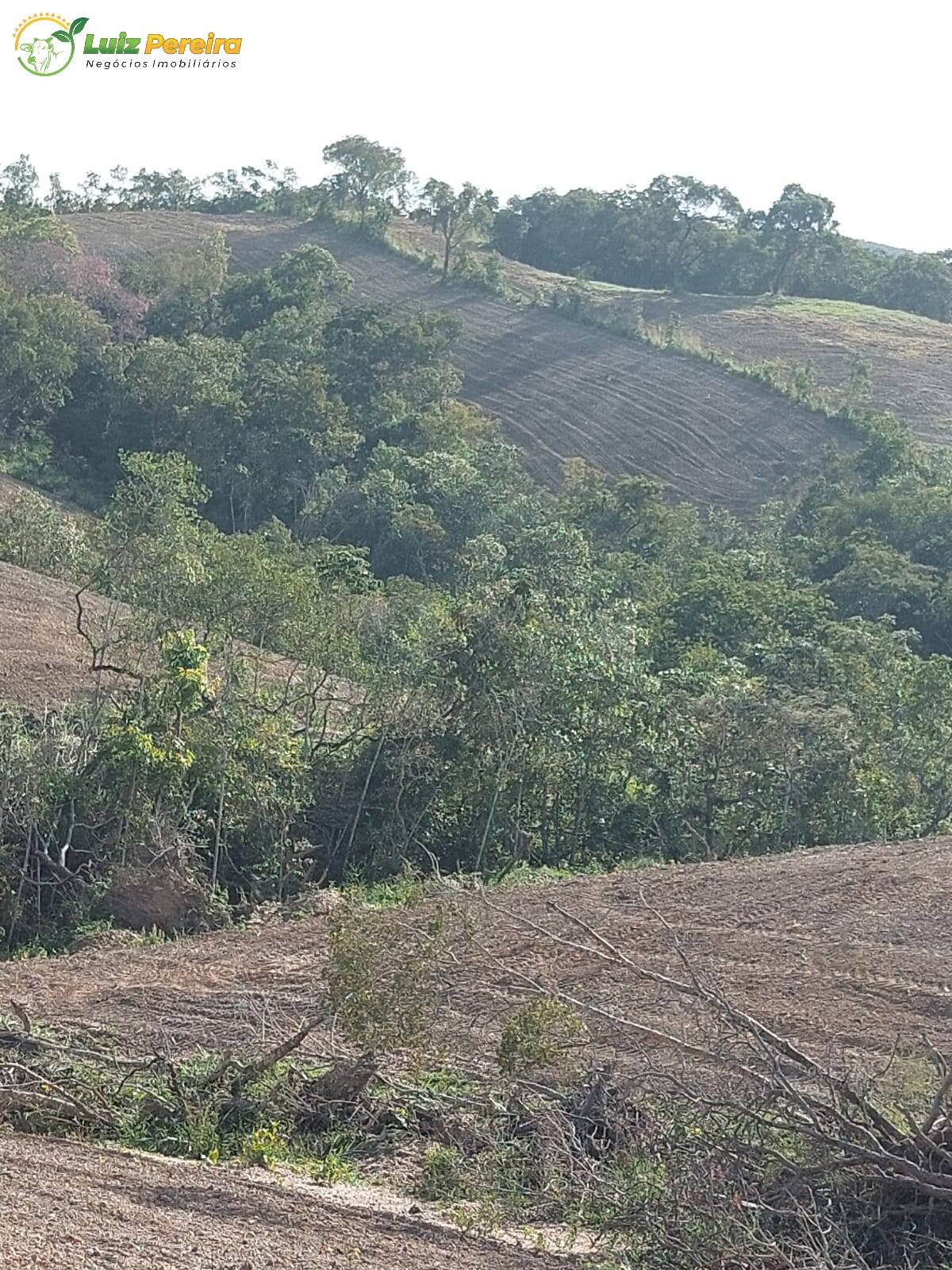 Fazenda à venda, 500m² - Foto 10