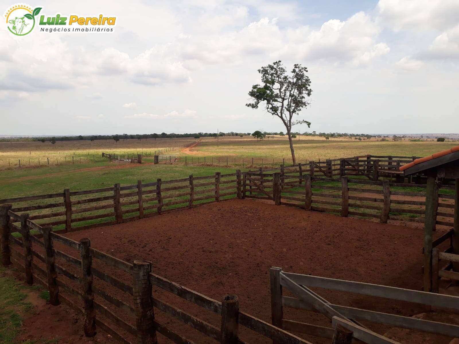 Fazenda à venda, 19210000m² - Foto 5