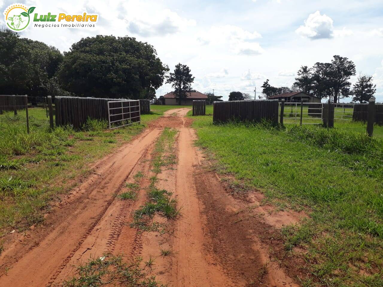 Fazenda à venda, 19210000m² - Foto 11