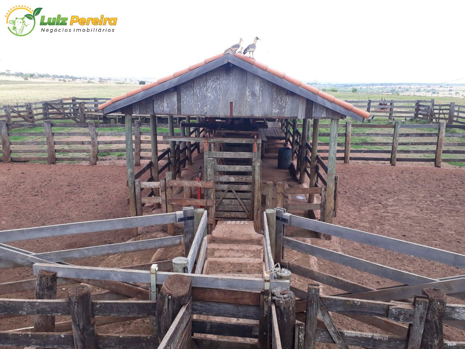 Fazenda à venda, 19210000m² - Foto 6