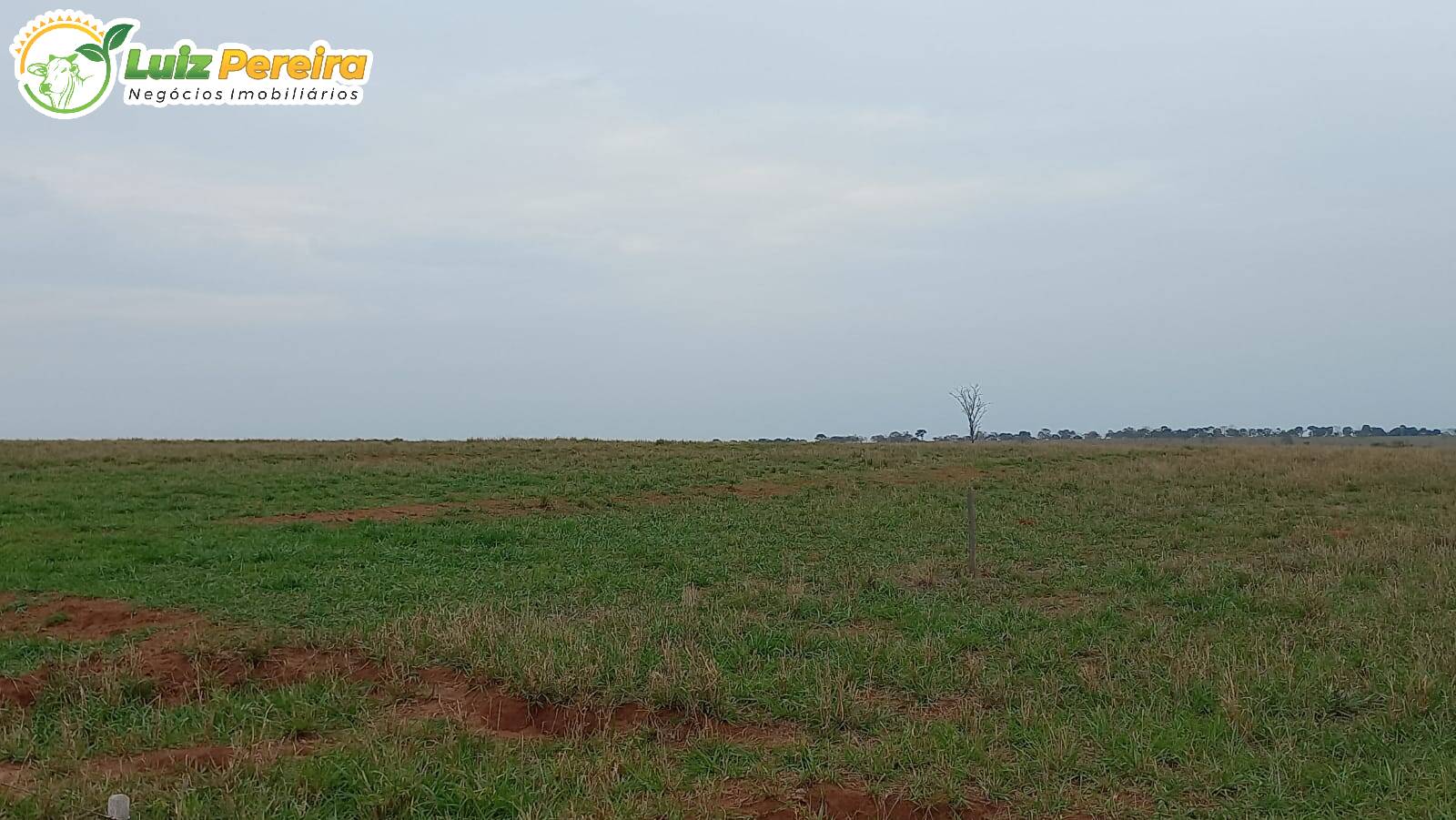 Fazenda à venda, 19210000m² - Foto 3