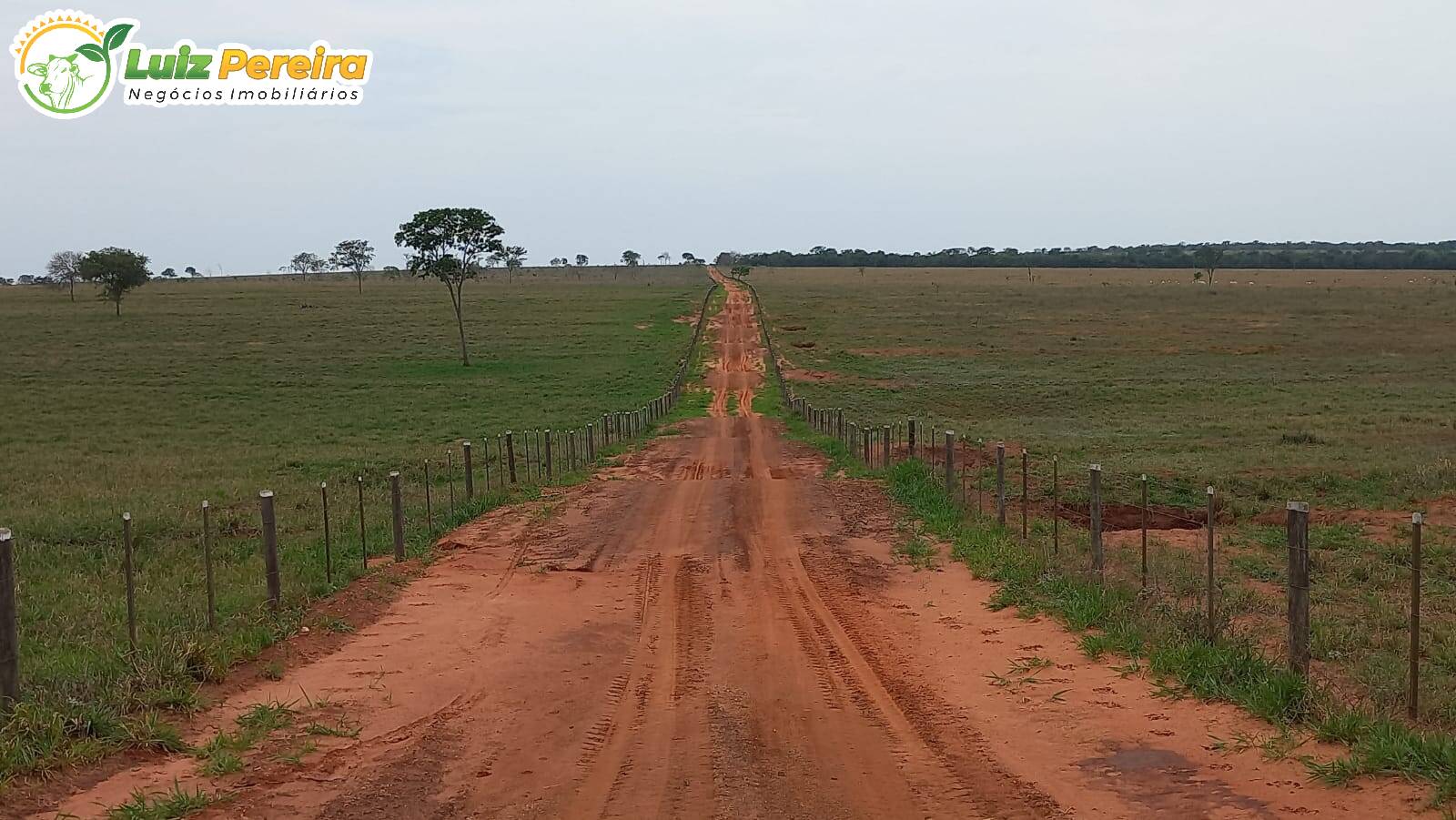 Fazenda à venda, 19210000m² - Foto 9