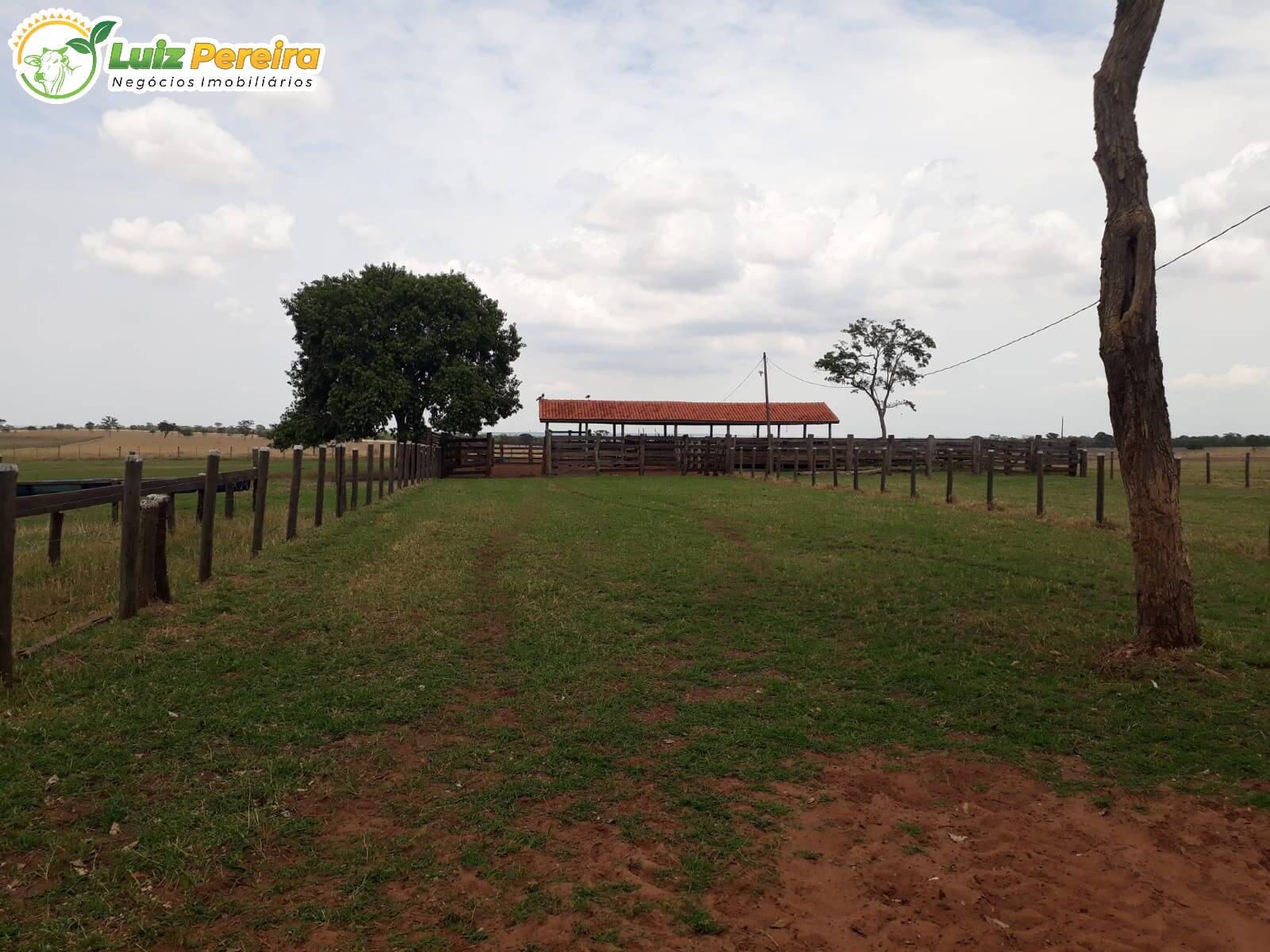 Fazenda à venda, 19210000m² - Foto 8