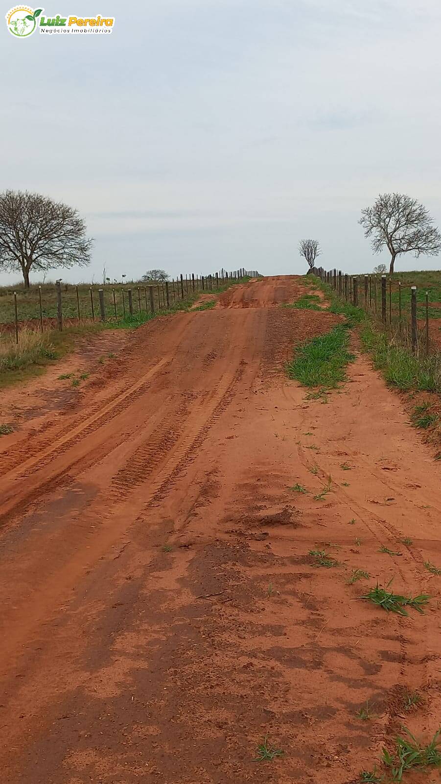 Fazenda à venda, 19210000m² - Foto 10