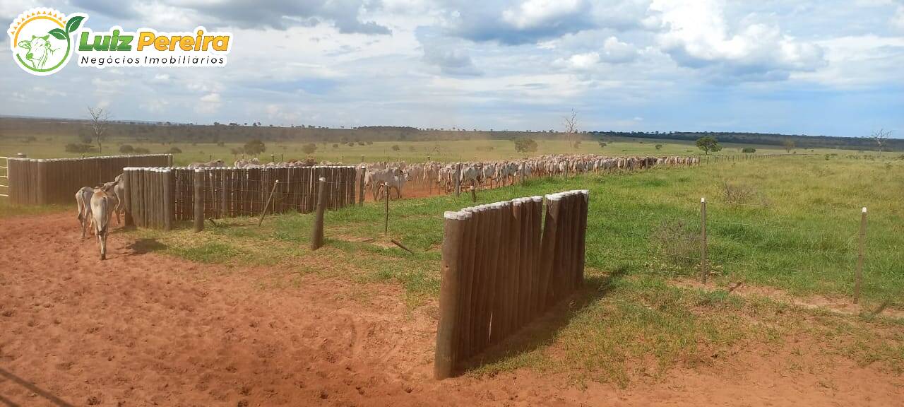 Fazenda à venda, 19210000m² - Foto 15