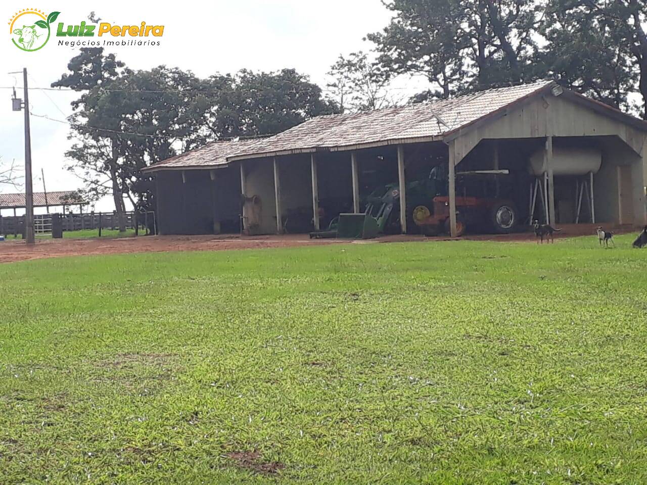 Fazenda à venda, 19210000m² - Foto 19