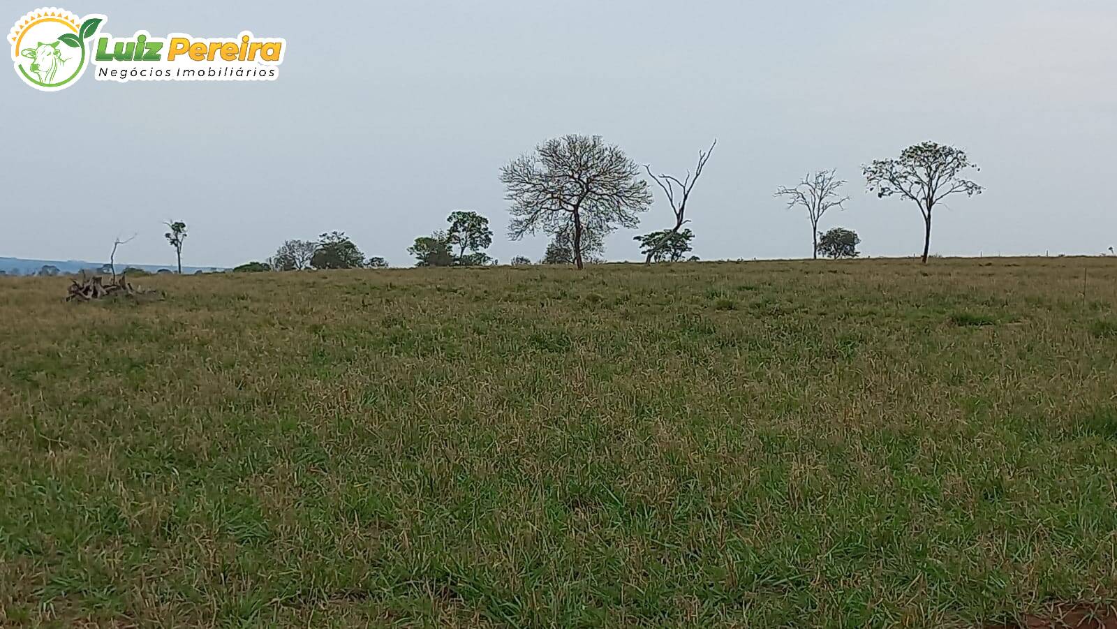 Fazenda à venda, 19210000m² - Foto 4