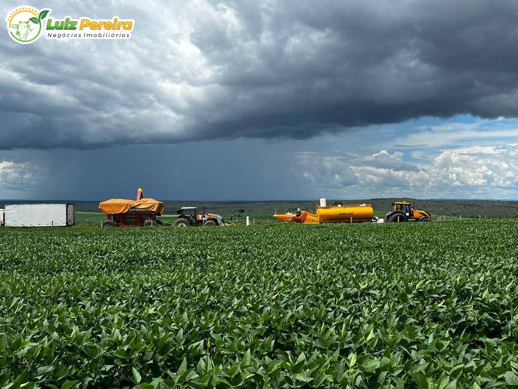 Fazenda à venda, 21400000m² - Foto 15