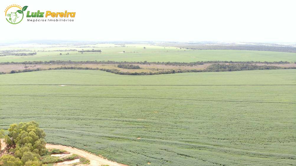 Fazenda à venda, 21400000m² - Foto 8