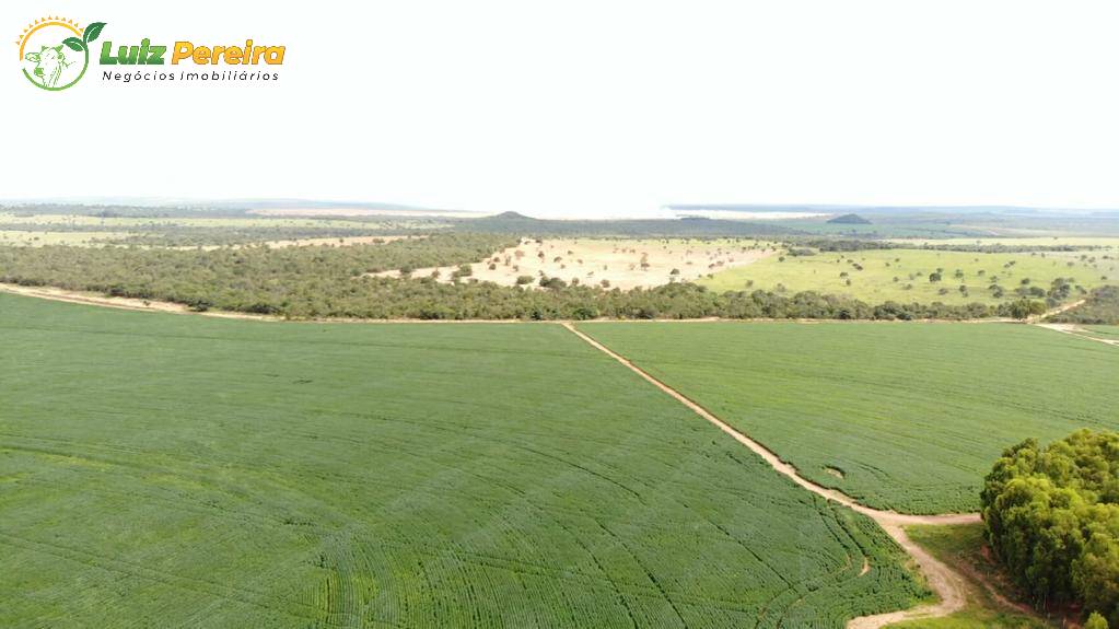 Fazenda à venda, 21400000m² - Foto 11