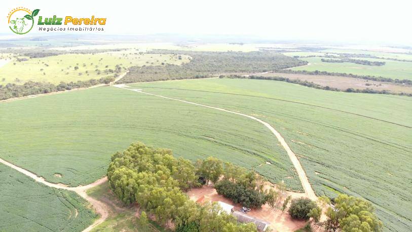 Fazenda à venda, 21400000m² - Foto 10