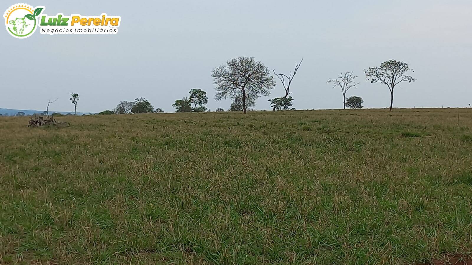 Fazenda-Sítio-Chácara, 2140 hectares - Foto 4