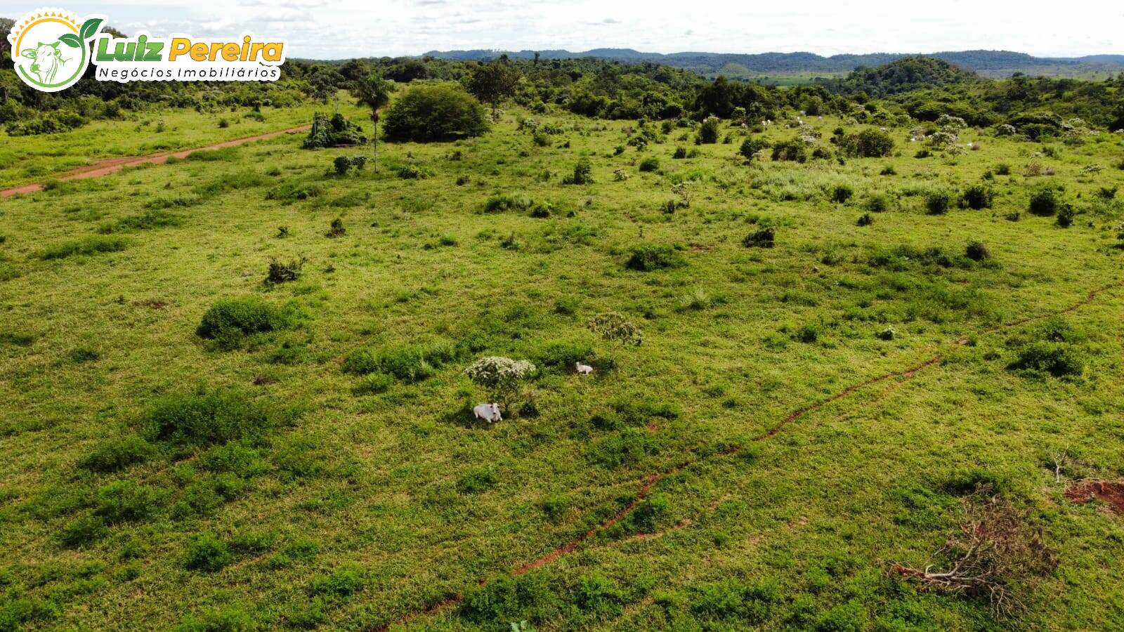 Fazenda à venda, 3388m² - Foto 7