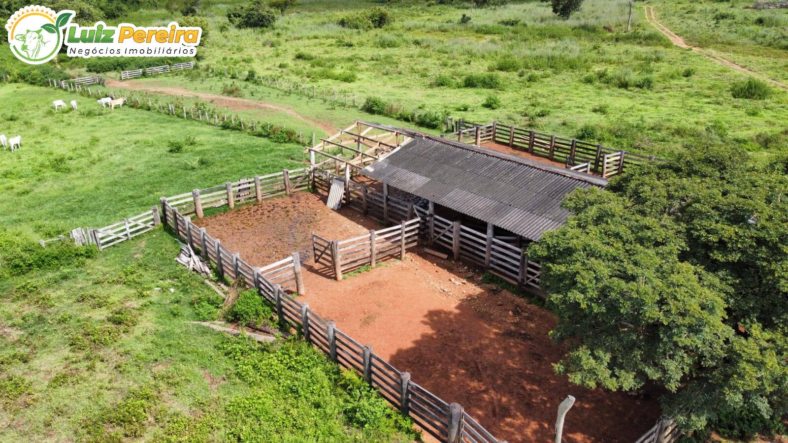 Fazenda à venda, 3388m² - Foto 5